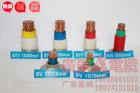 B V V 系列電纜 (含阻燃型、耐...